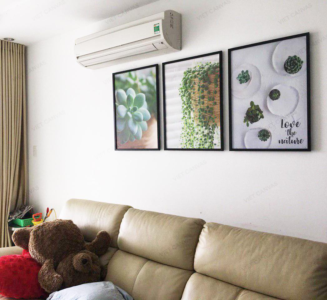 Bộ 3 Tranh Sen Đá Tươi Mát - HD132
