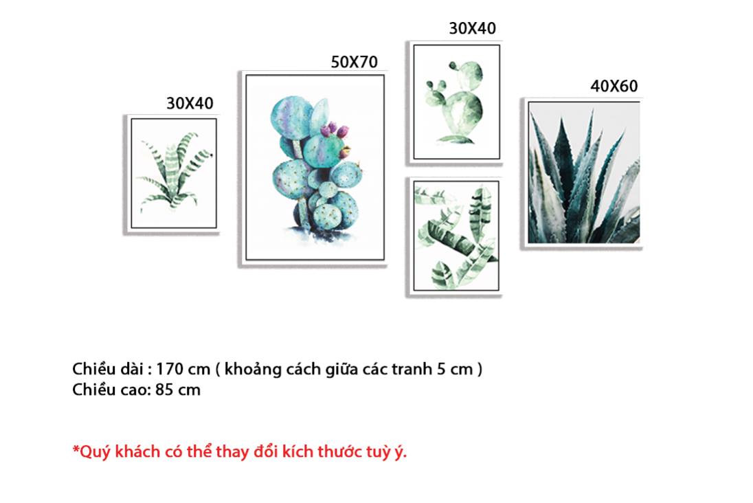 Bộ 5 Tranh Cây Xương Rồng, Nha Đam Và Tàu Lá Chuối - HD310