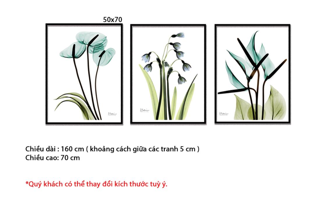 Bộ 3 Tranh Vẻ Đẹp Của Hoa - HD315