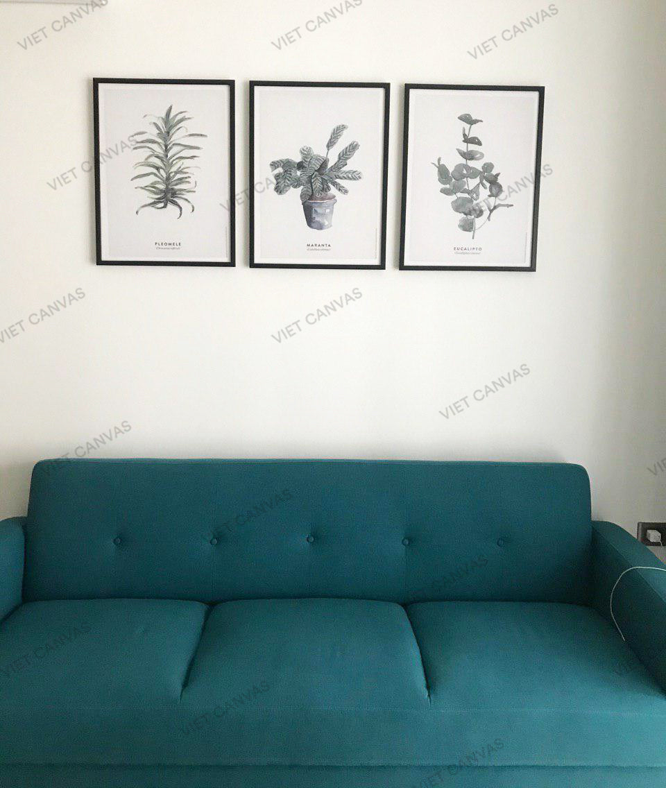 Bộ 3 Tranh Lọ Cây Xanh - HD707