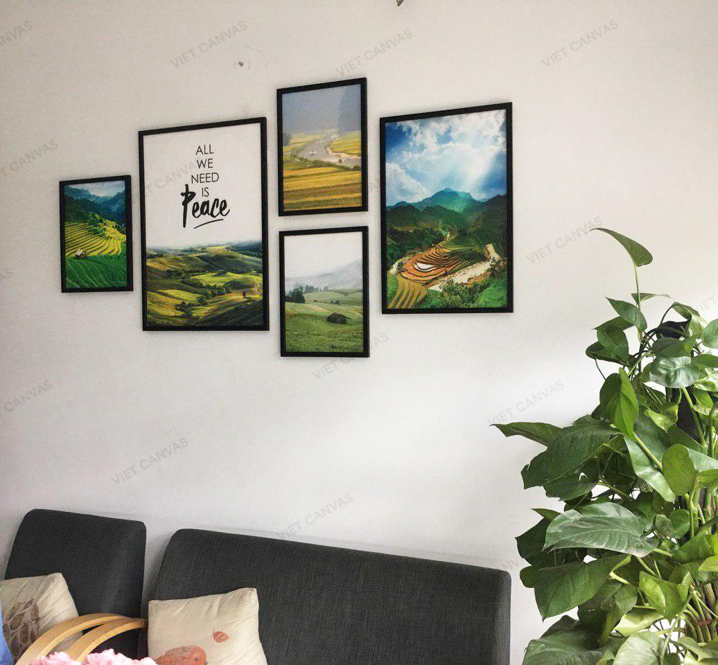 Bộ 5 Tranh Ruộng Bậc Thang - NT111