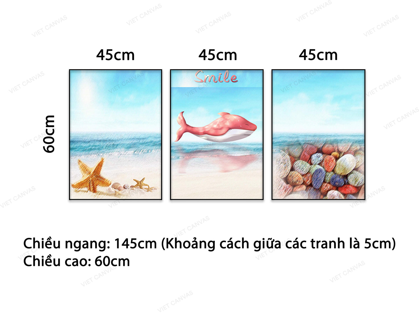 Bộ 3 Tranh Sao Biển, Cá Heo Và Sỏi Trên Bãi Biển - VB597