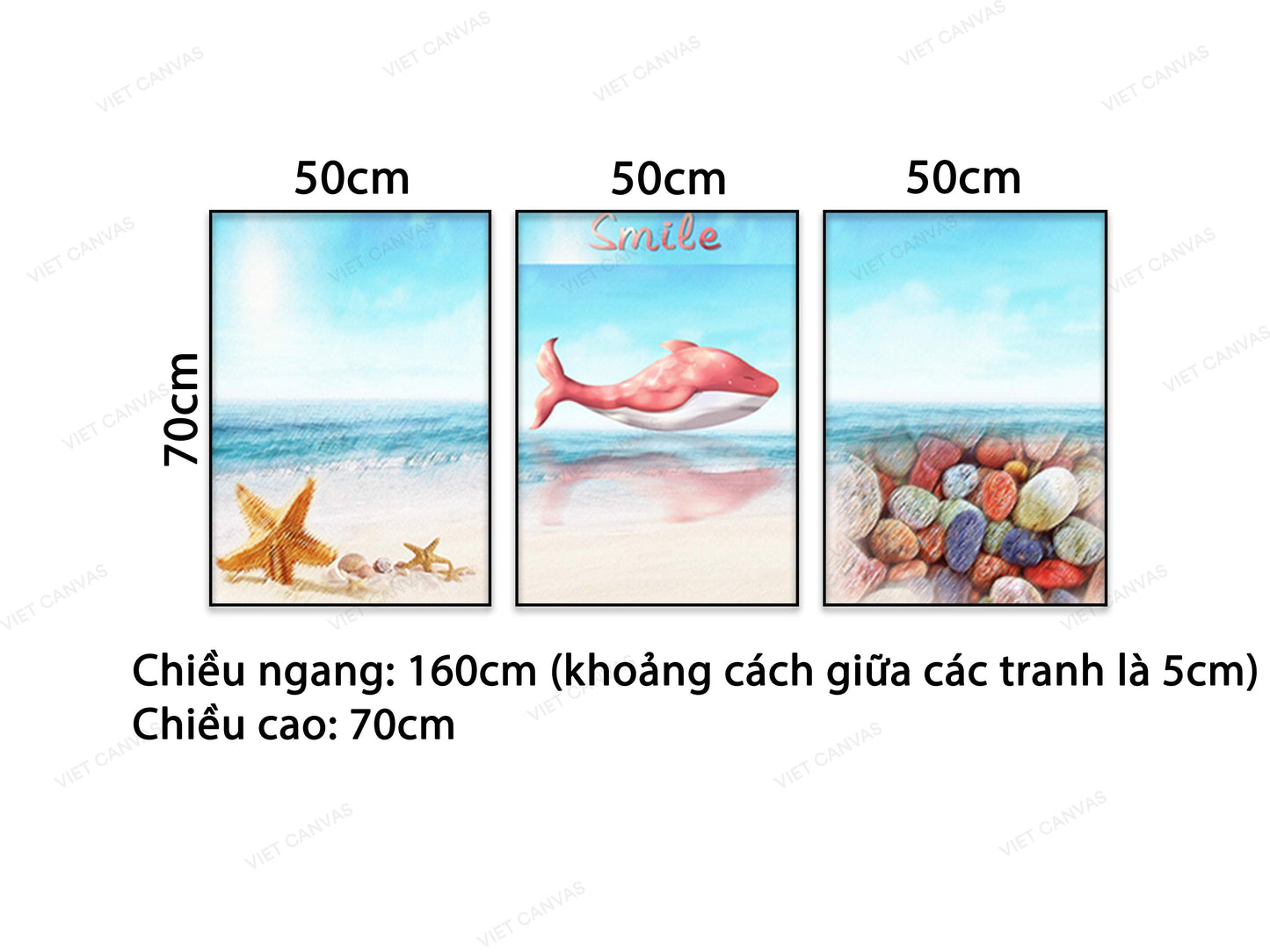 Bộ 3 Tranh Sao Biển, Cá Heo Và Sỏi Trên Bãi Biển - VB597