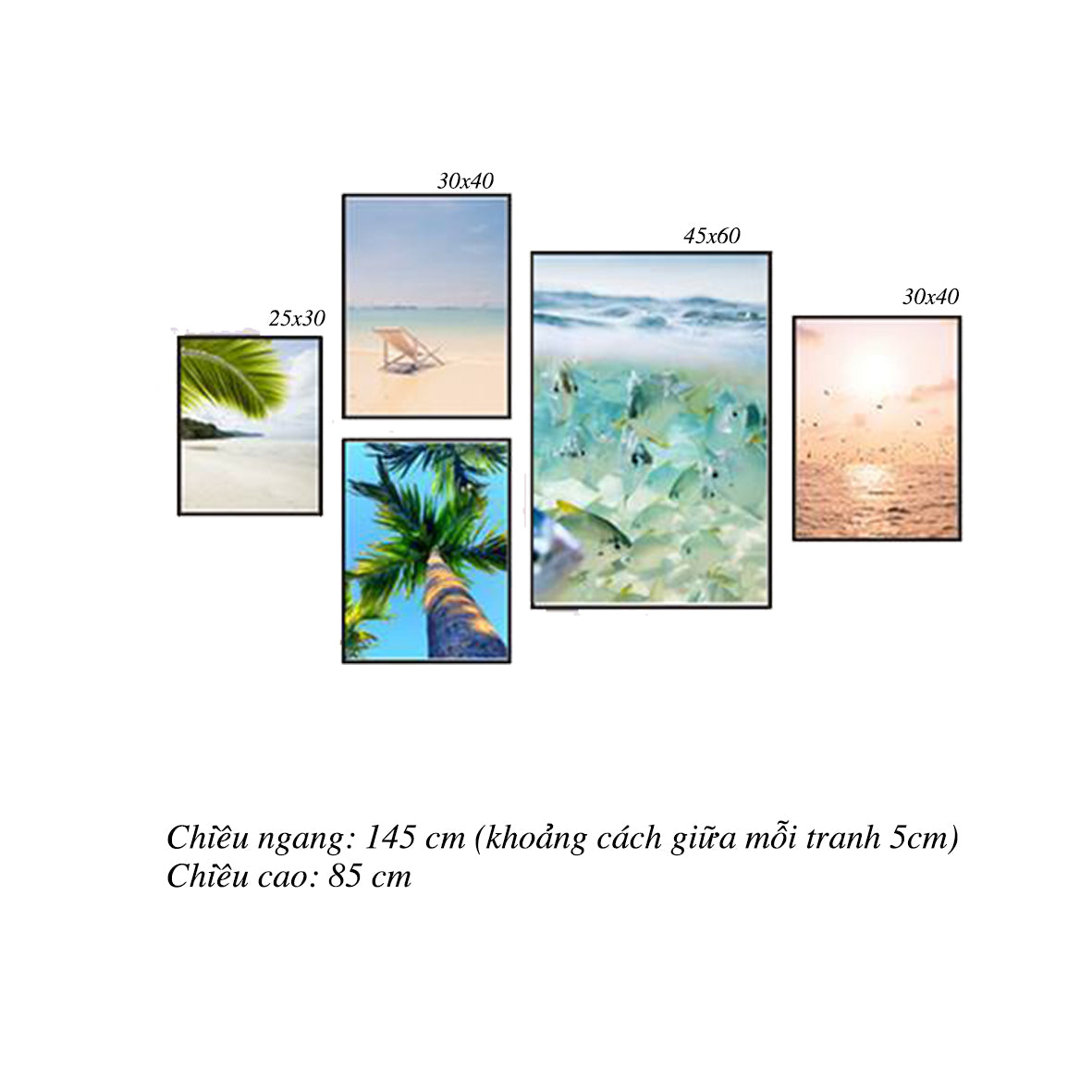 Bộ 5 Tranh Cây Dừa Và Biển Cả - HD157