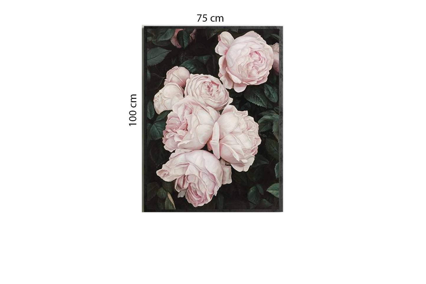 Tranh Hoa Mẫu Đơn - HD372