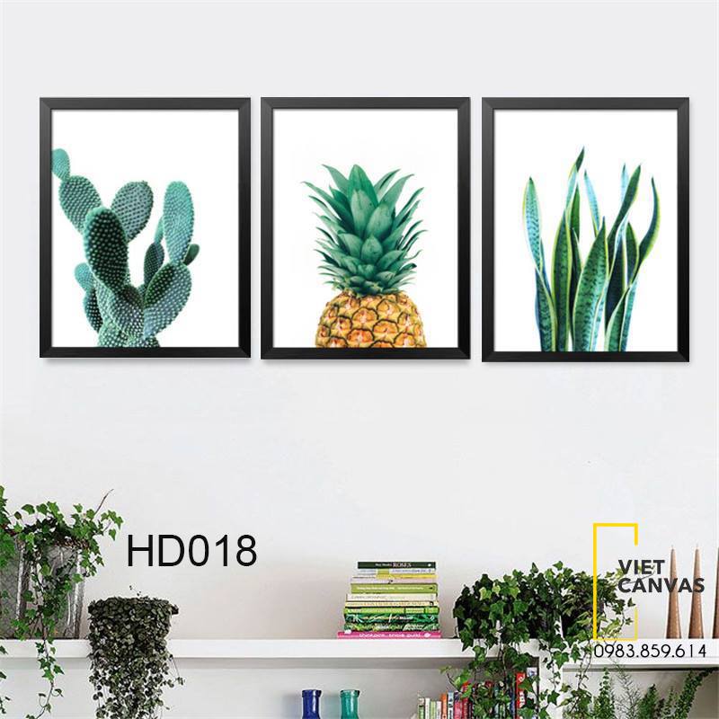 Bộ 3 Tranh Xương Rồng Và Trái Dứa - HD018