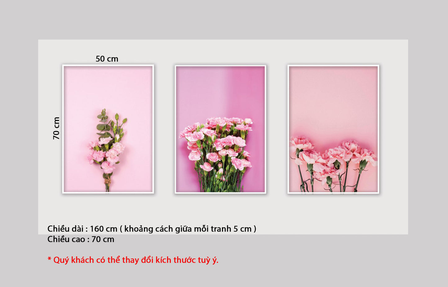 Bộ 3 Tranh Hoa Cẩm Chướng Lãng Mạn - HD219