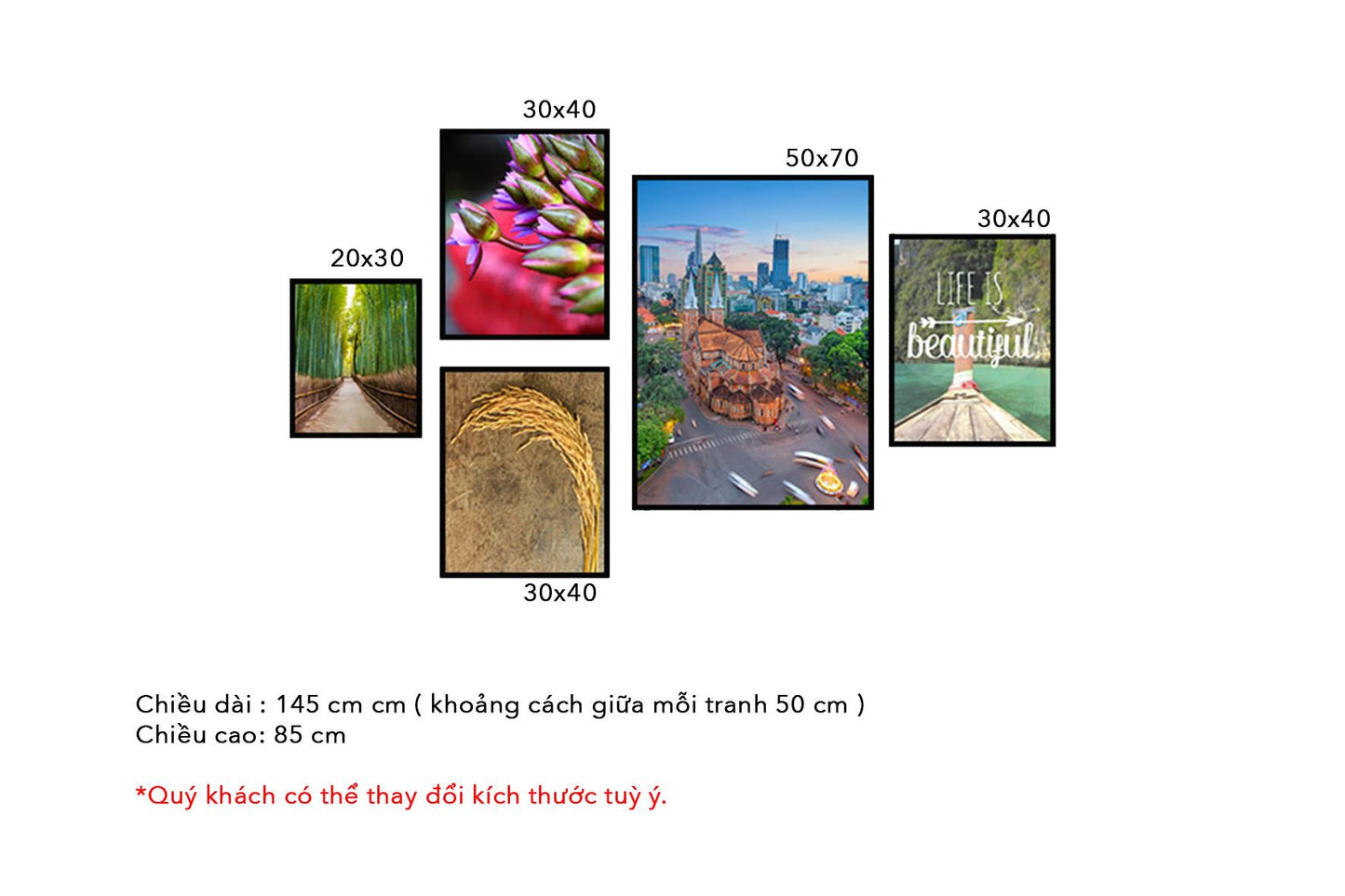 Bộ 5 Tranh Hoa, Lúa, Biển, Khu Rừng Và Nhà Thờ Đức Bà - HD067