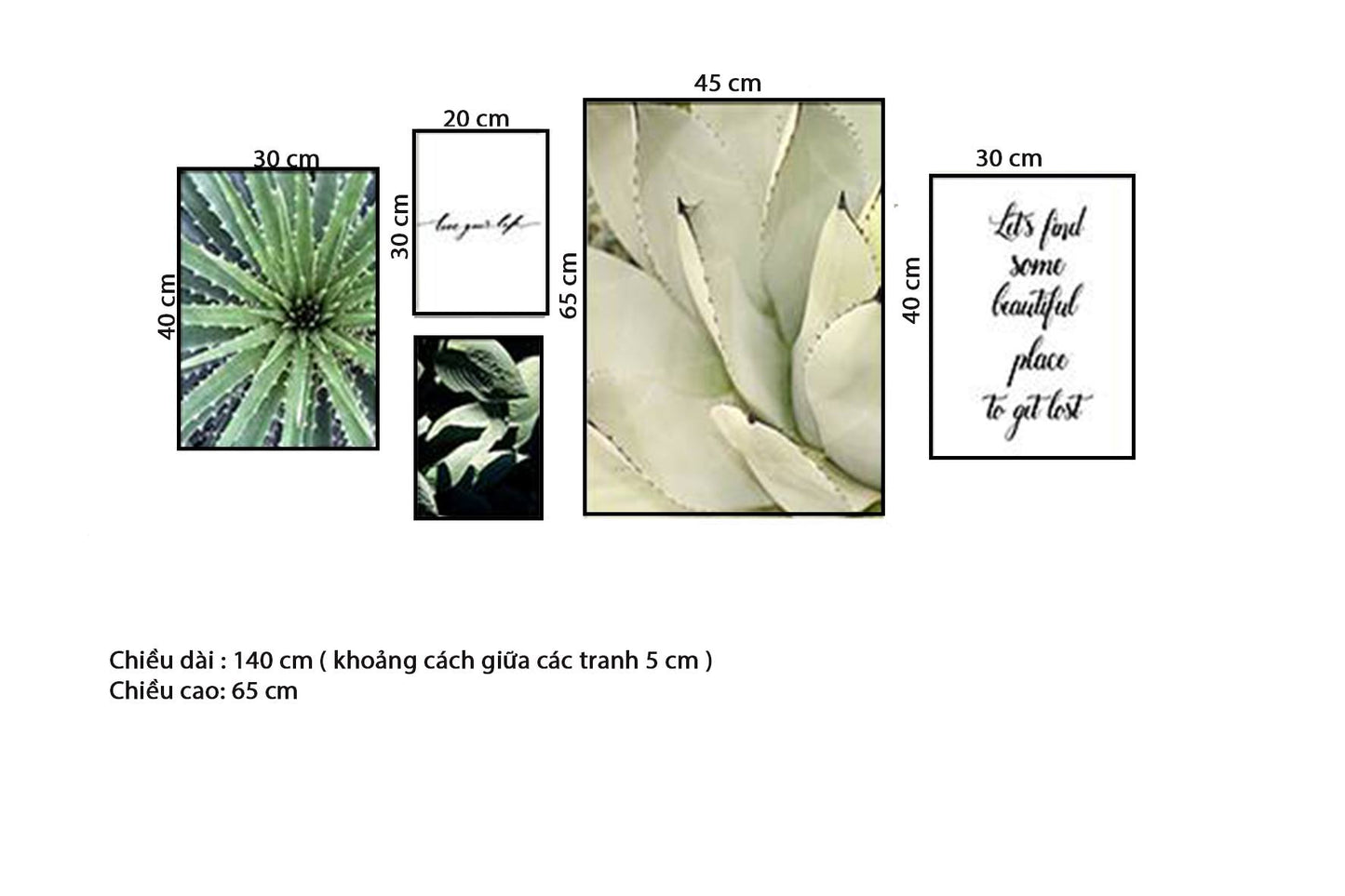 Bộ 5 Tranh Xương Rồng, Sen Đá Và Quotes - HD123