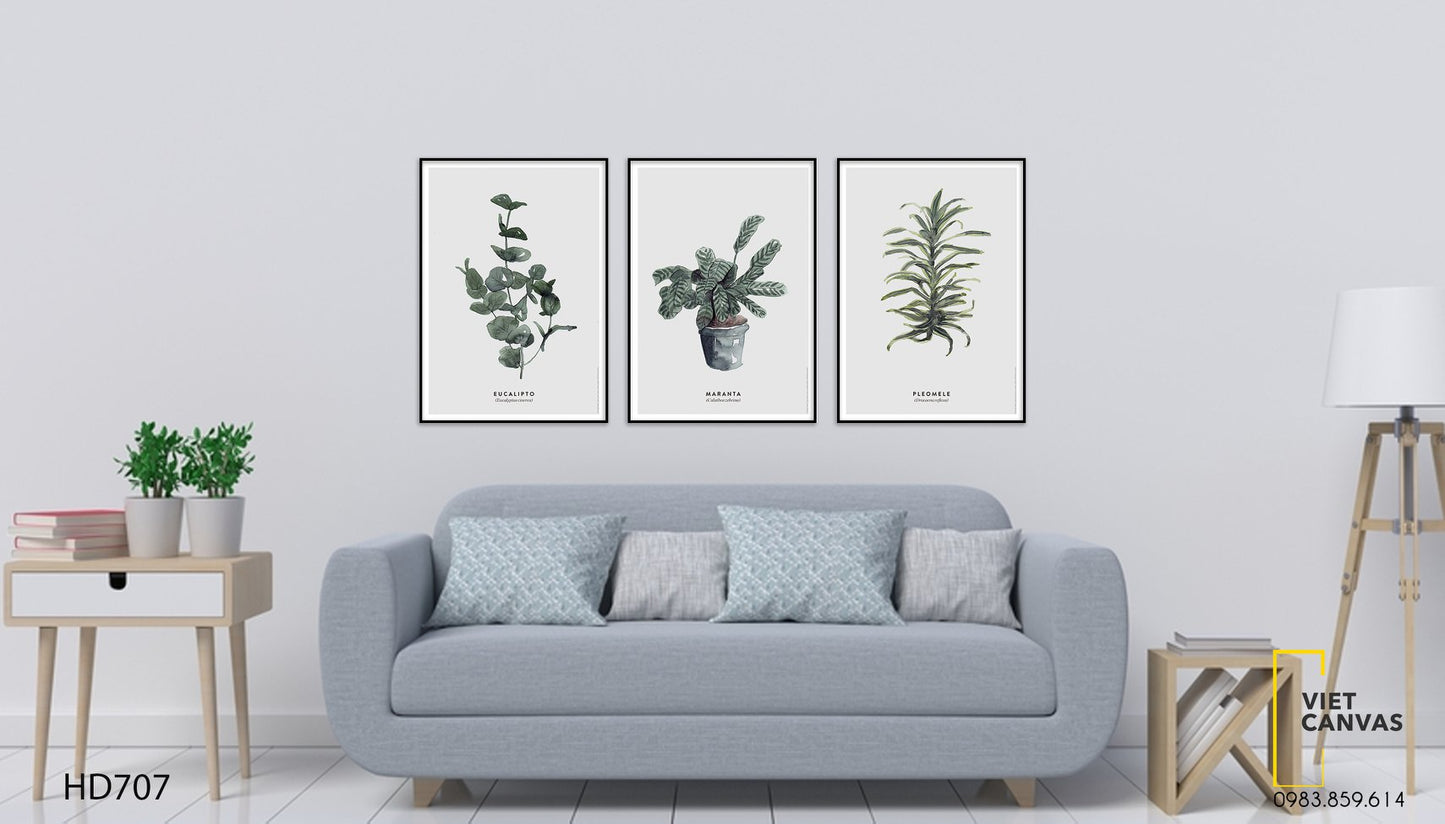 Bộ 3 Tranh Lọ Cây Xanh - HD707