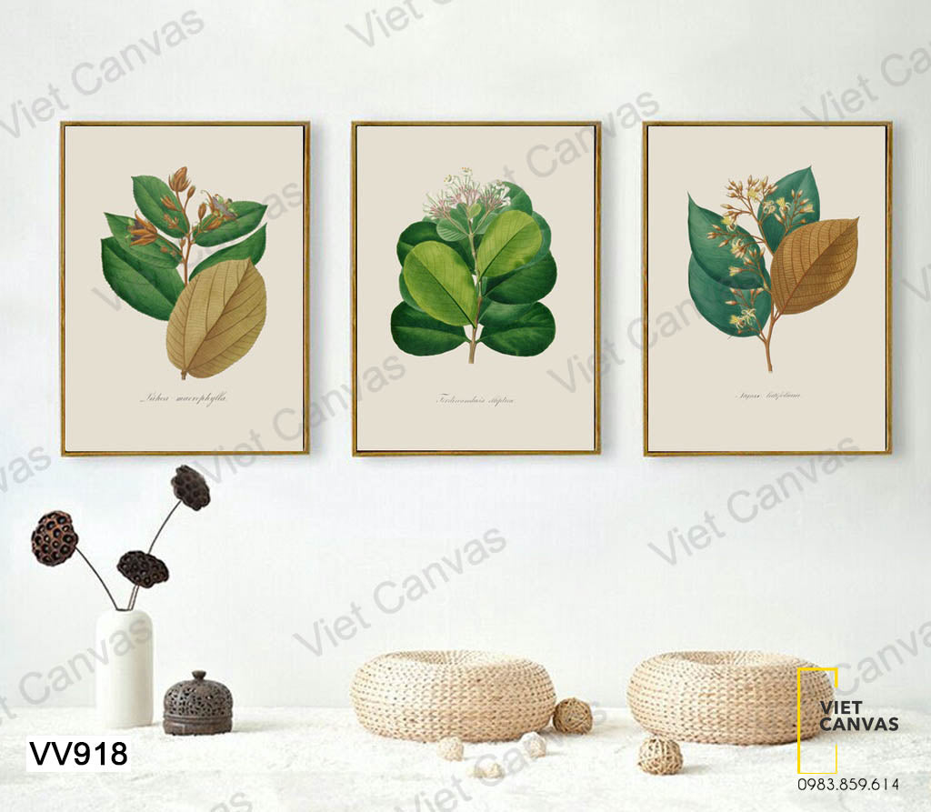 Bộ 3 Tranh Nhánh Lá Cây - VV918