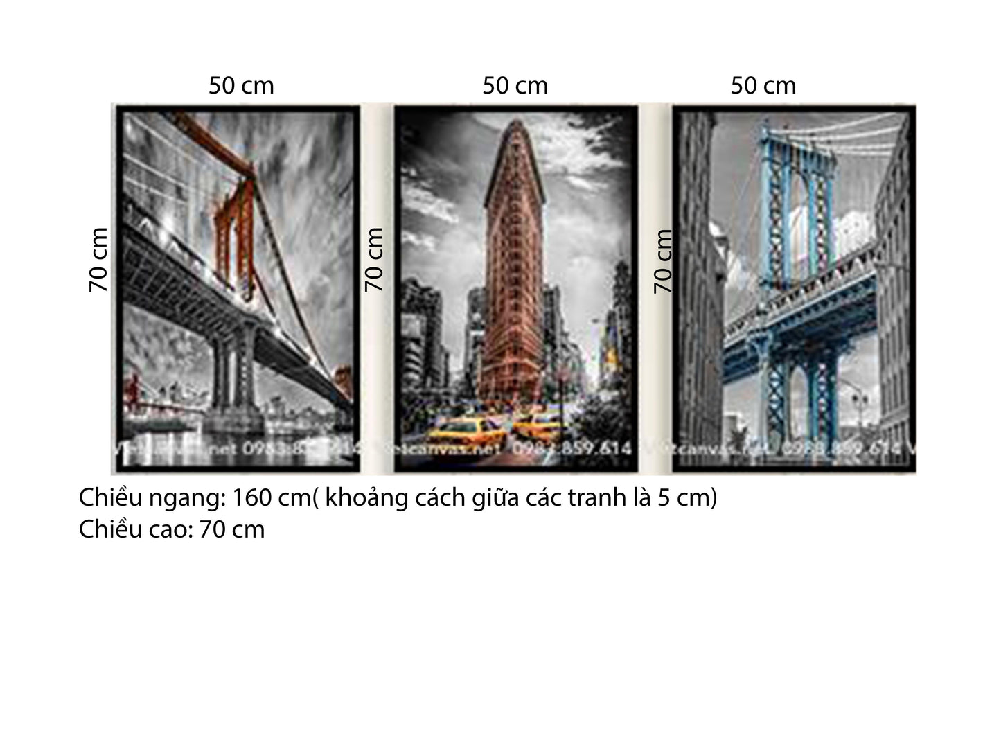 Bộ 3 Tranh Những Cây Cầu Hiện Đại - HD425