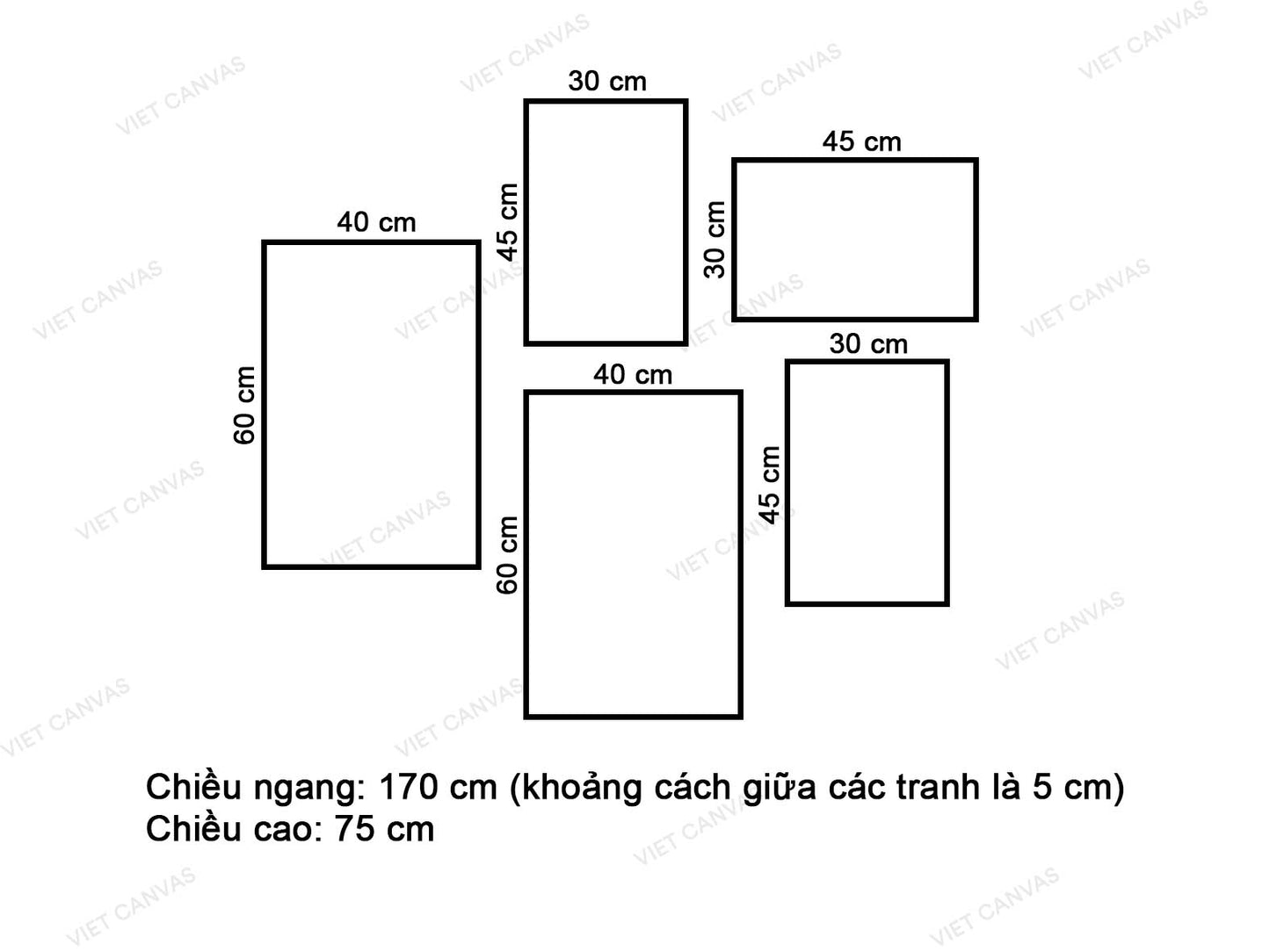 Bộ 5 Tranh Xương Rồng Và Lá Cây Xanh - VQ802