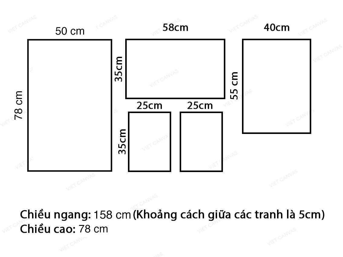 Bộ 5 Tranh Sư Tử - VQ295.2