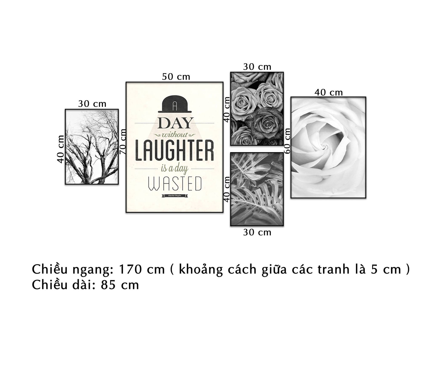 kích thước tranh hoa hồng đơn sắc
