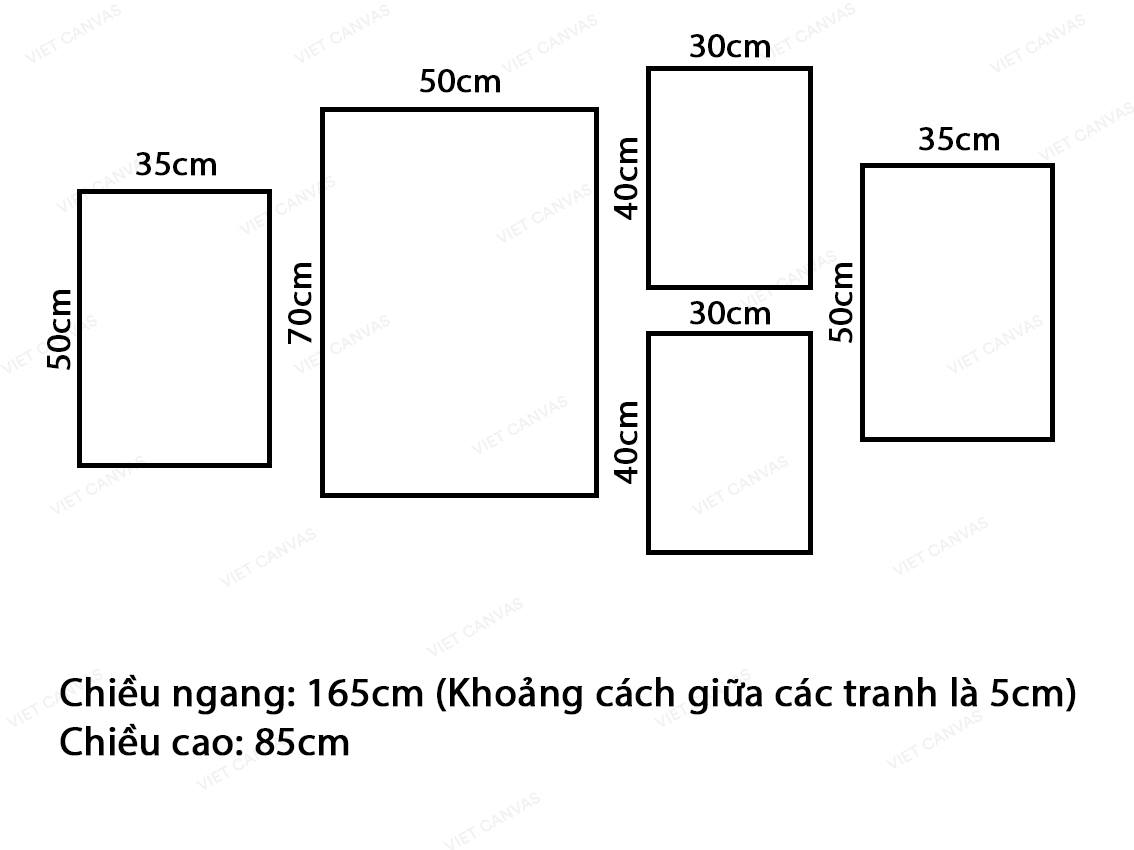 Bộ 5 Tranh Những Đóa Hoa Rực Rỡ - VZ665