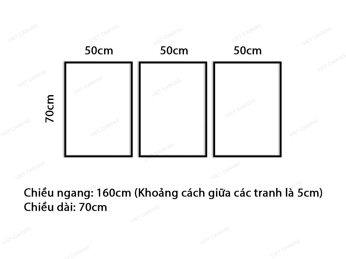 Bộ 3 Tranh Hoa Hồng - VQ207