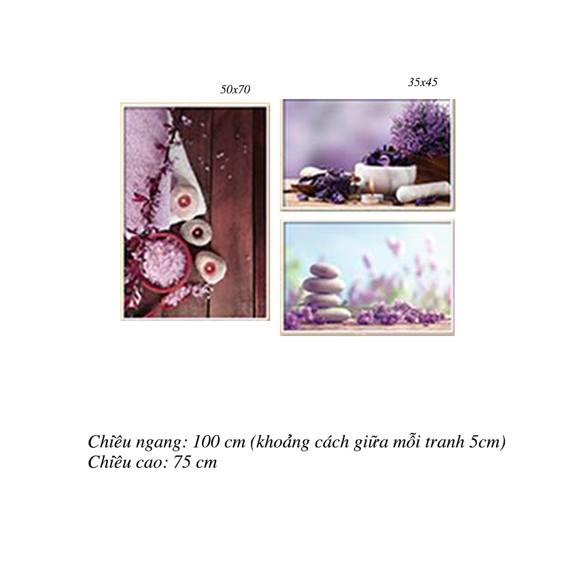 Bộ 3 Tranh Hoa Tím Lãng Mạn - HD213