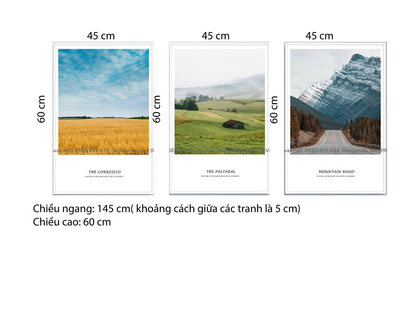 Bộ 3 Tranh Cánh Đồng Bất Tận Và Con Đường Đồi - HD430