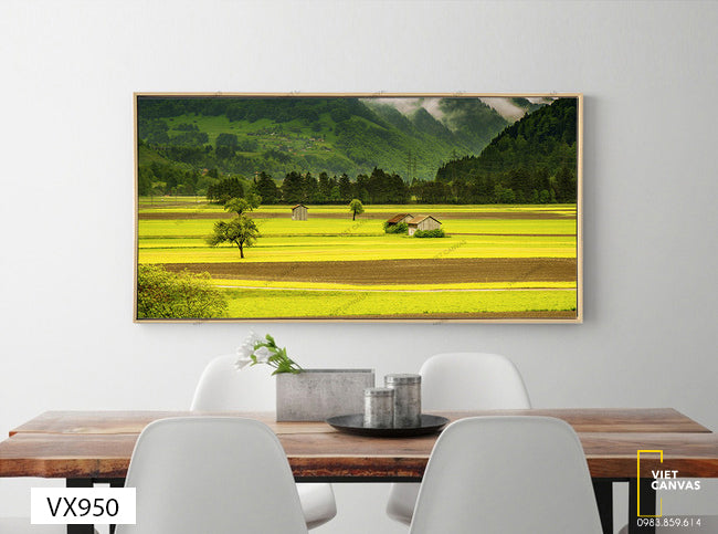Tranh Cánh Đồng Quê Hương - VX950