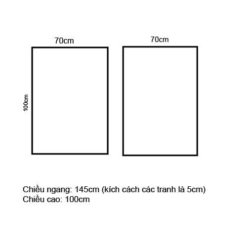 Bộ 2 Tranh Trừu Tượng Sang Trọng - VH216