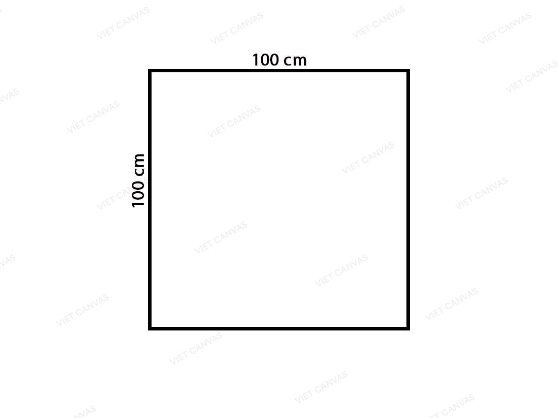 Cho hình vuông và đường tròn tâm O đường kính bằng cạnh hình vuông và bằng  4cm. Tính diện tích phần tô màu.