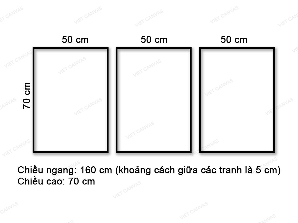 Bộ 3 Tranh Lá Cây Và Cầu Vồng - VN033