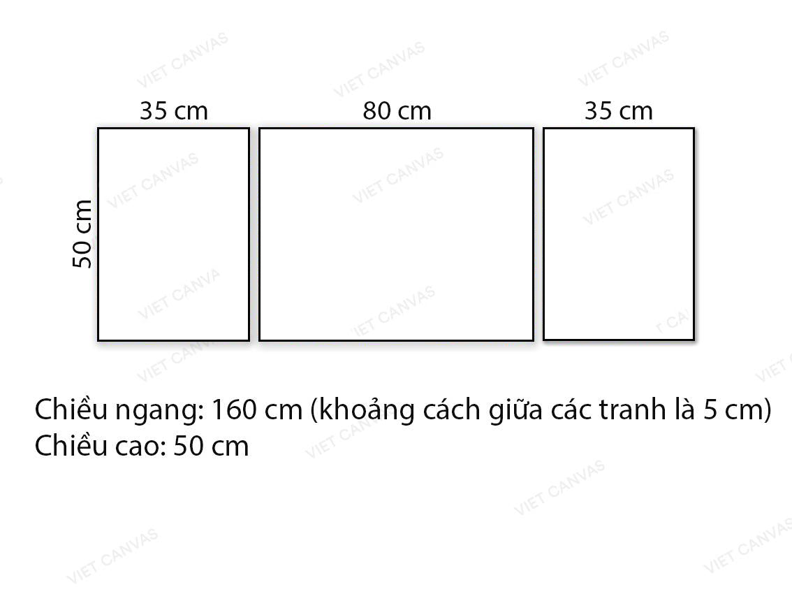 Bộ 3 Tranh Cô Gái Cùng Lông Vũ Đen - VX438.1