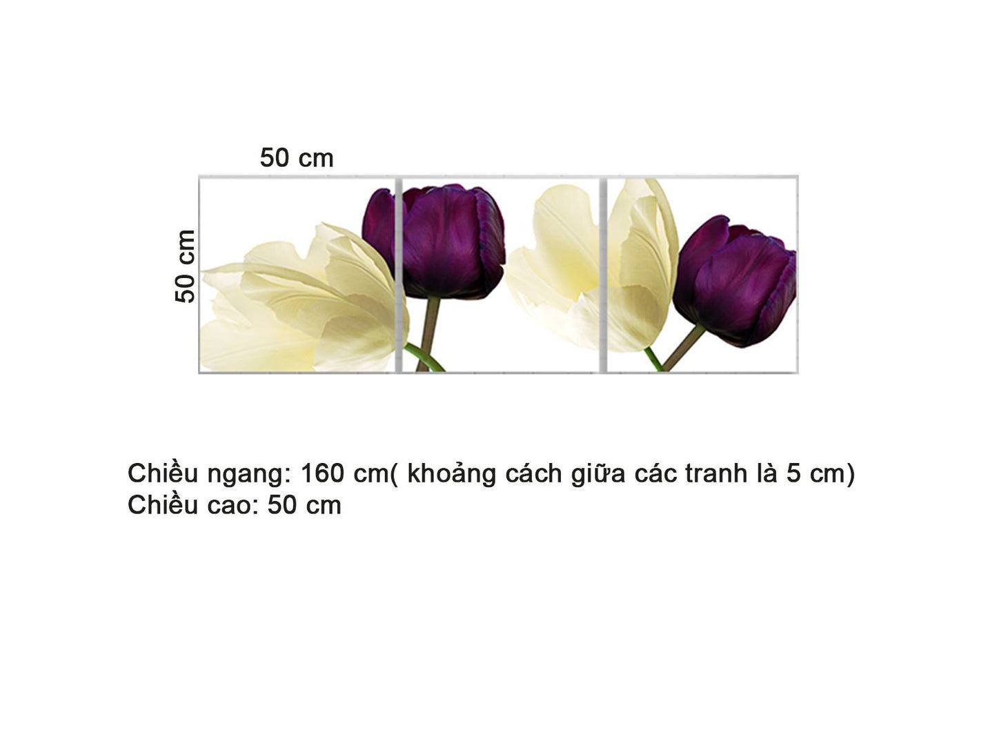 Bộ 3 Tranh Hoa Tulip Trắng Tím - HD474