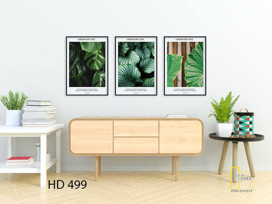 Bộ 3 Tranh Lá Cây Xanh - HD499