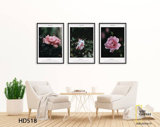 Bộ 3 Tranh Hoa Hồng Nở Rộ - HD518