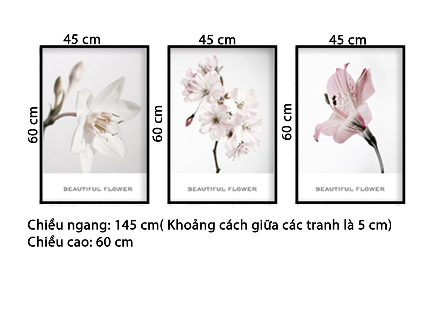 Bộ 3 Tranh Những Bông Hoa Khoe Sắc - HD513