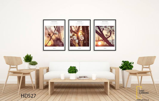 Bộ 3 Tranh Nhánh Hoa Dưới Ánh Hoàng Hôn - HD527