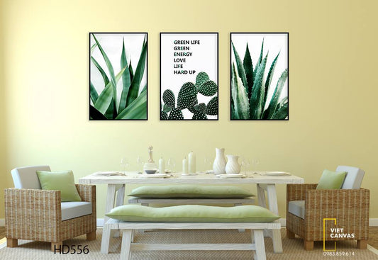 Bộ 3 Tranh Lá Cây Xanh, Xương Rồng Và Nha Đam - HD556