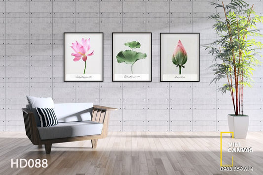 Bộ 3 Tranh Hoa Sen - HD088