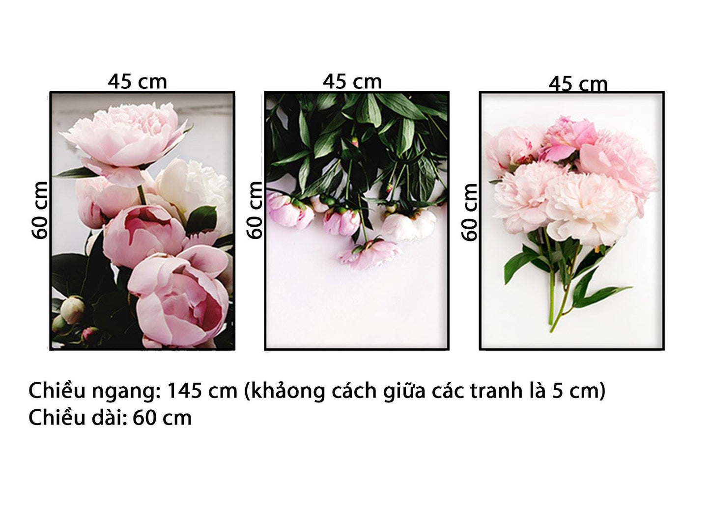 Bộ 3 Tranh Những Bó Hoa Hồng Tinh Tế - hd697