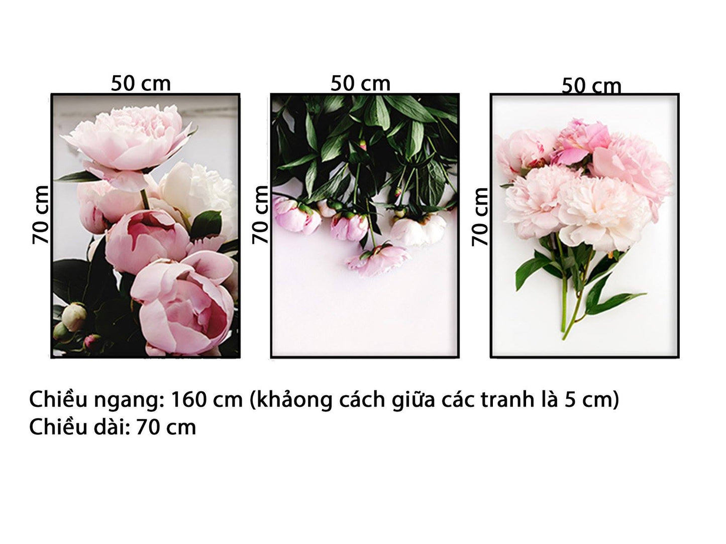 Bộ 3 Tranh Những Bó Hoa Hồng Tinh Tế - hd697