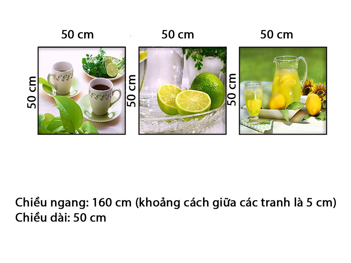 Bộ 3 Tranh Lemon Juice - HD742