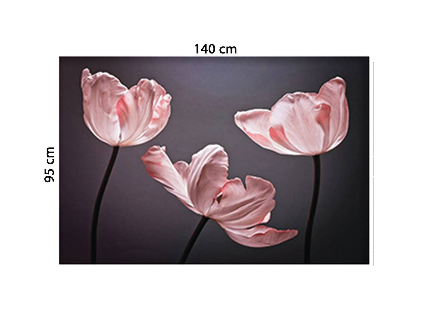 Tranh Hoa Tulip Chớm Nở - HD870