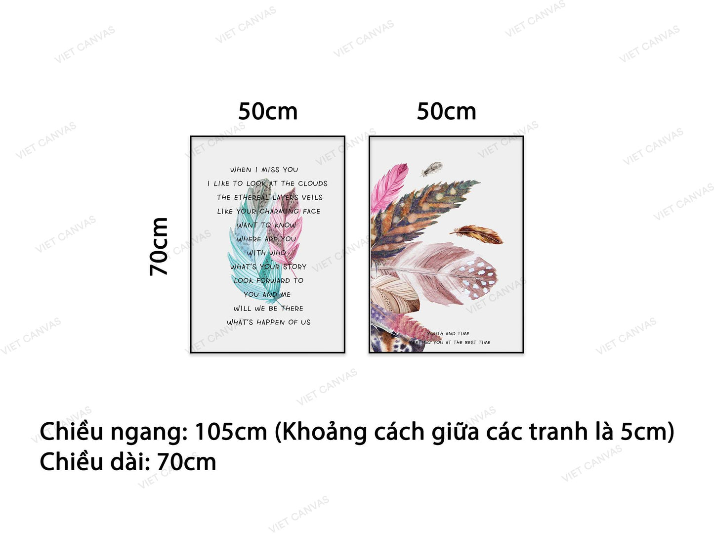 Bộ 2 Tranh Những Cành Lông Vũ - NT854