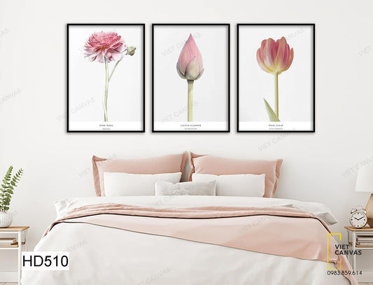 Bộ 3 Tranh Hoa Sen Khoe Sắc - HD510