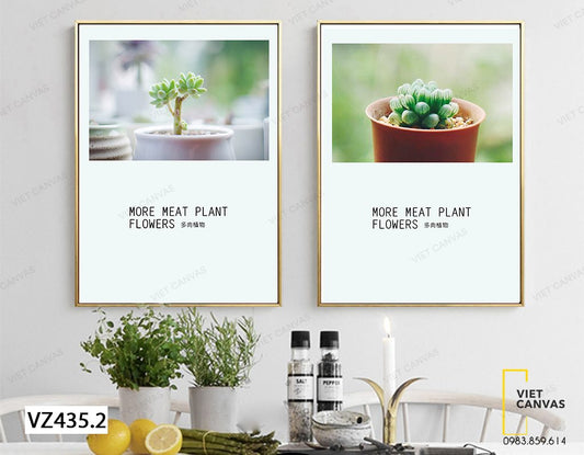 Bộ 2 Tranh Chậu Cây Xương Rồng Và Sen Đá - VZ435.2
