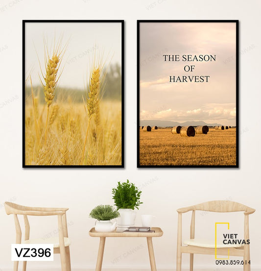 Bộ 2 Tranh Cánh Đồng Lúa - VZ396