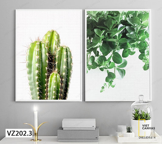 Bộ 2 Tranh Lá Và Cây Xương Rồng - vz202.3