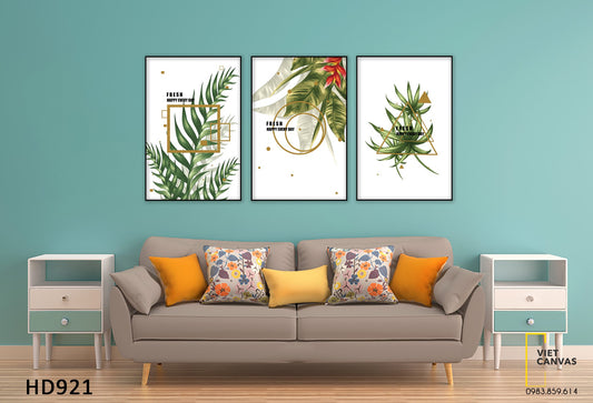 Bộ 3 Tranh Lá Cây Xanh - HD921
