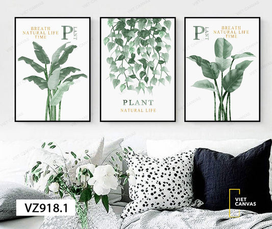 Bộ 3 Tranh Breath Natural Life Time - VZ918.1