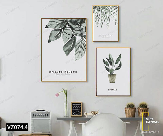 Bộ 3 Tranh Cây Và Lá - VY074.4