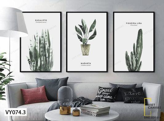 Bộ 3 Tranh Cây Và Lá Cổ Điển - VY074.3