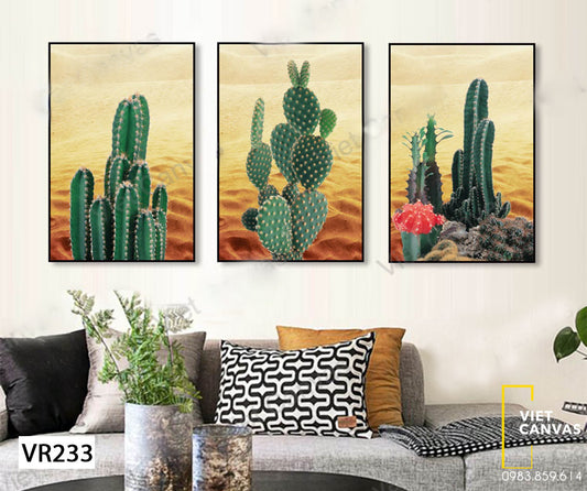 Bộ 3 Tranh Cây Xương Rồng - VR233