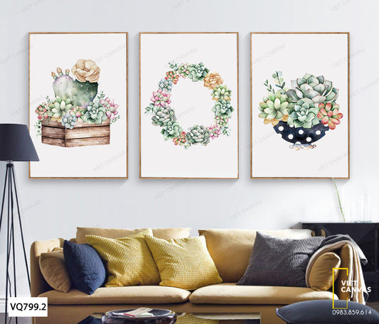 Bộ 3 Tranh Hoa Xương Rồng - VQ799.2